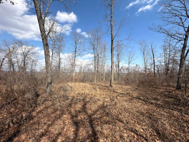 1790 County Rd A-435, Ava, MO 65608