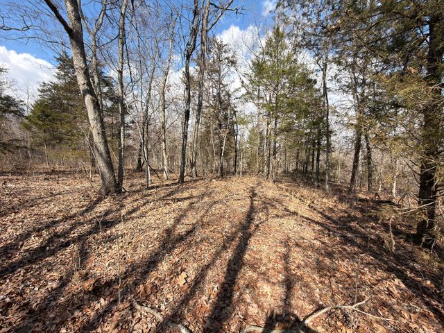 1790 County Rd A-435, Ava, MO 65608