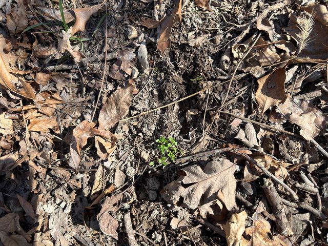 1790 County Rd A-435, Ava, MO 65608