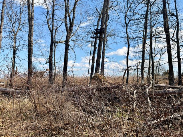 1790 County Rd A-435, Ava, MO 65608