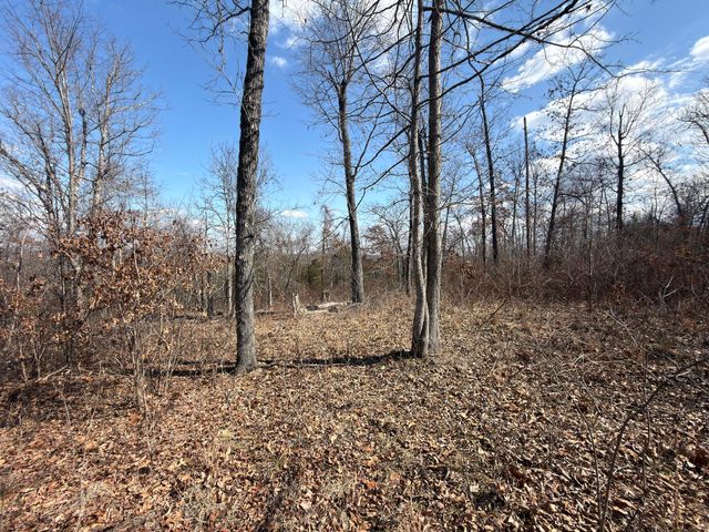 1790 County Rd A-435, Ava, MO 65608