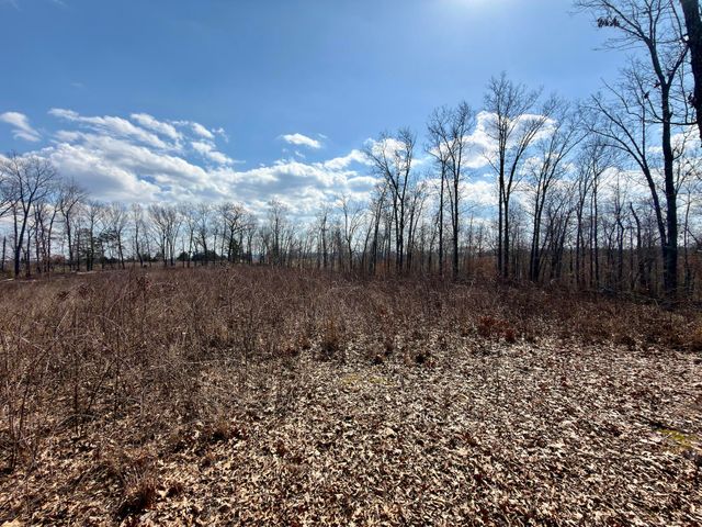 1790 County Rd A-435, Ava, MO 65608