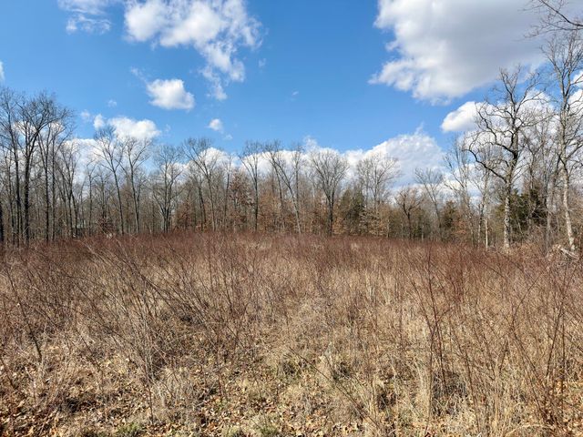 1790 County Rd A-435, Ava, MO 65608