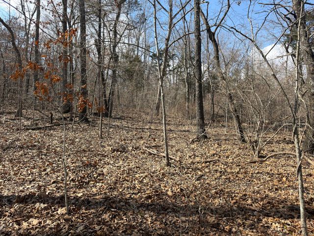 1790 County Rd A-435, Ava, MO 65608