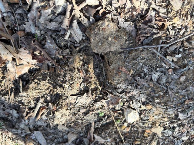 1790 County Rd A-435, Ava, MO 65608