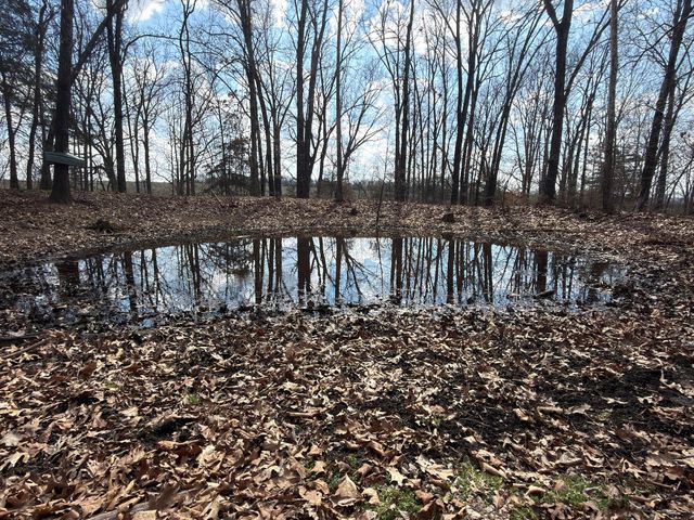 1790 County Rd A-435, Ava, MO 65608