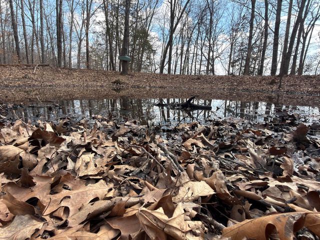 1790 County Rd A-435, Ava, MO 65608