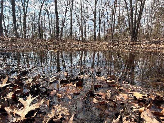 1790 County Rd A-435, Ava, MO 65608