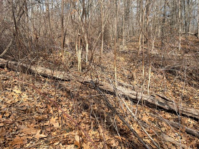 1790 County Rd A-435, Ava, MO 65608