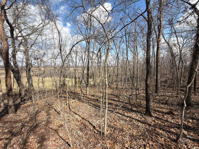 1790 County Rd A-435, Ava, MO 65608