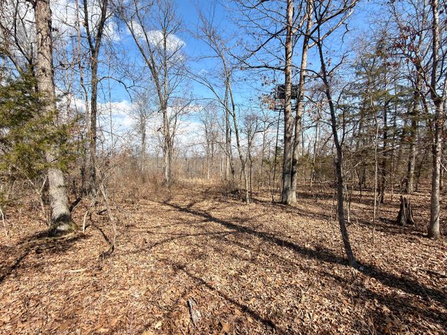 1790 County Rd A-435, Ava, MO 65608