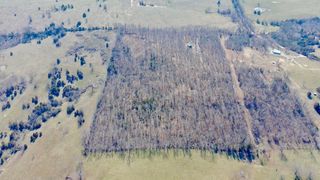 1790 County Rd A-435, Ava, MO 65608