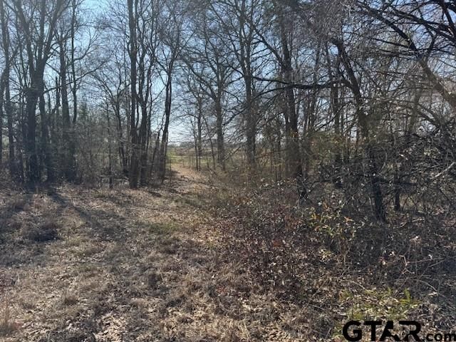 TBD County Rd 1575, Alba, TX 75410