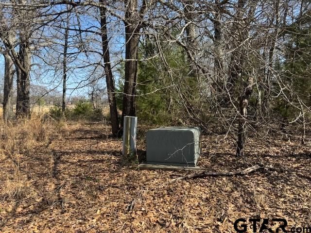 TBD County Rd 1575, Alba, TX 75410