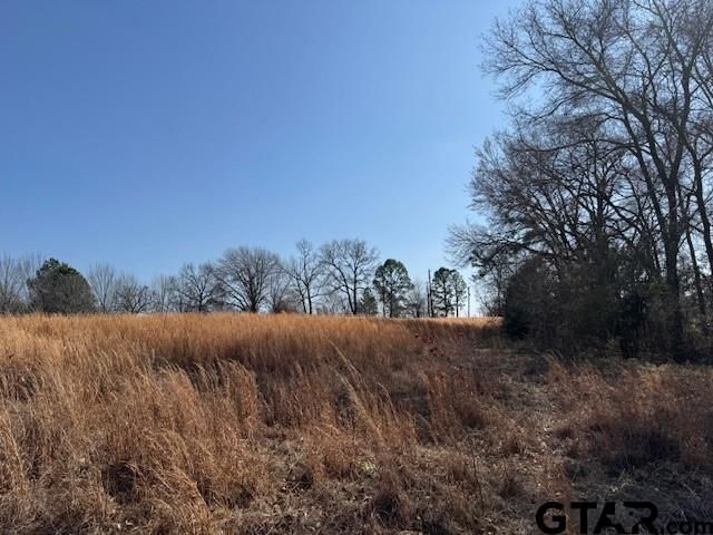 TBD County Rd 1575, Alba, TX 75410