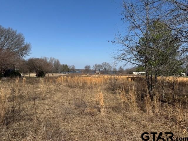 TBD County Rd 1575, Alba, TX 75410
