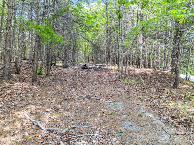 0 North Park Lane 33, Mill Spring, NC 28756