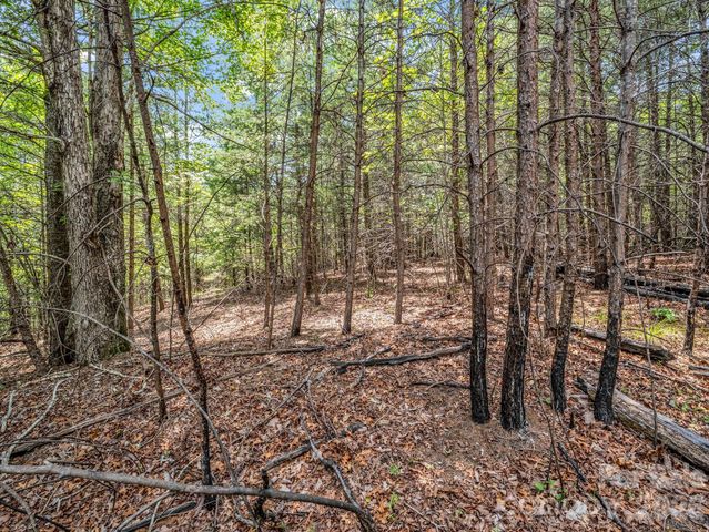 0 North Park Lane 33, Mill Spring, NC 28756