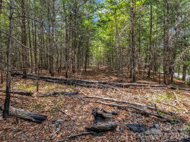 0 North Park Lane 33, Mill Spring, NC 28756