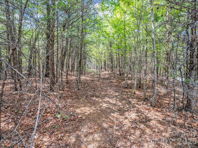 0 North Park Lane 33, Mill Spring, NC 28756