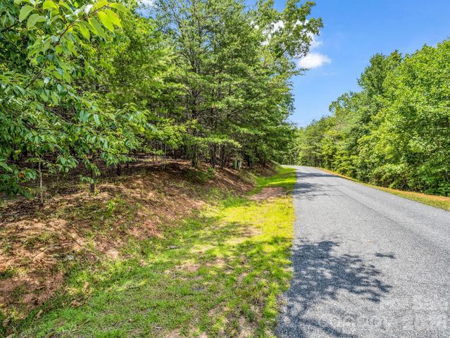 0 North Park Lane 33, Mill Spring, NC 28756