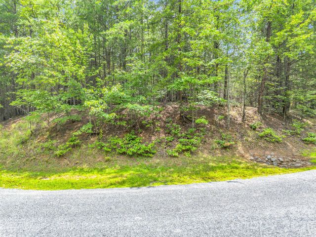 0 North Park Lane 33, Mill Spring, NC 28756