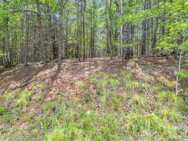 0 North Park Lane 33, Mill Spring, NC 28756