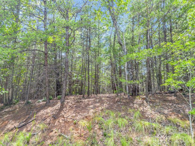 0 North Park Lane 33, Mill Spring, NC 28756