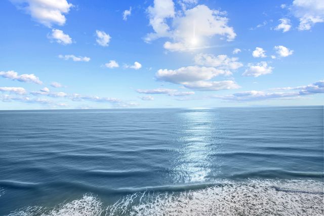 912 N Waccamaw Dr Unit 1004, Garden City Beach, SC 29576