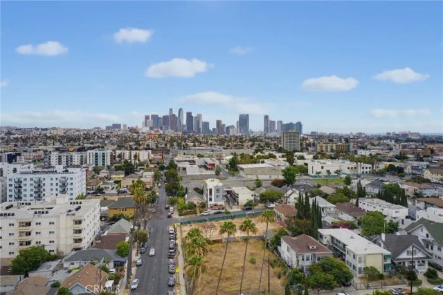 1107 S Mariposa Avenue, Los Angeles, CA 90006