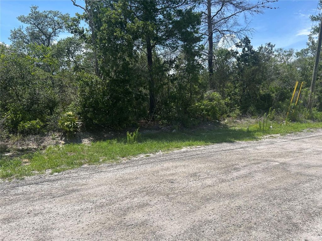 WALDOR AVENUE, Orange City, Fl, FL 32763