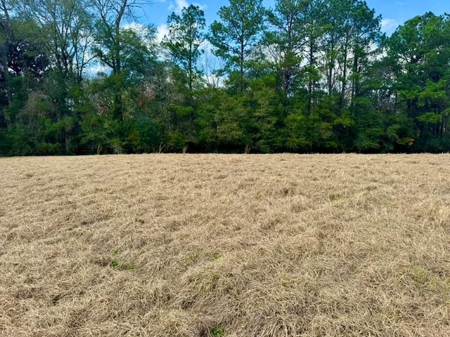 LOT 1 Lakeland Ranch Drive, Hillister, TX 77624