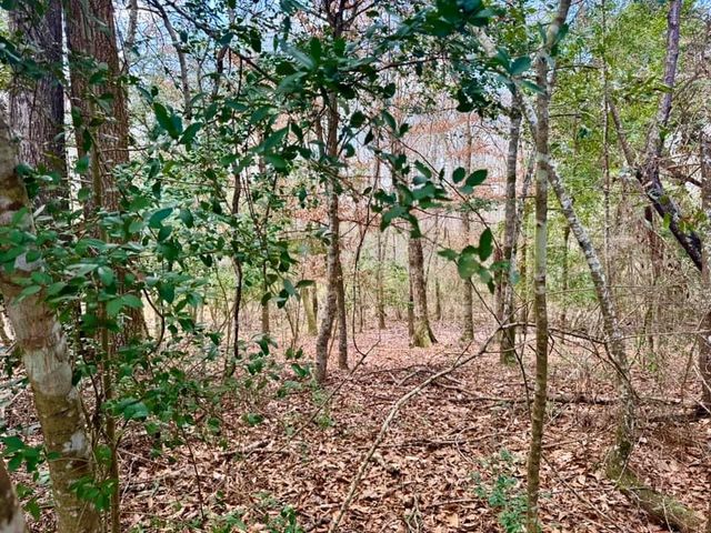 LOT 1 Lakeland Ranch Drive, Hillister, TX 77624