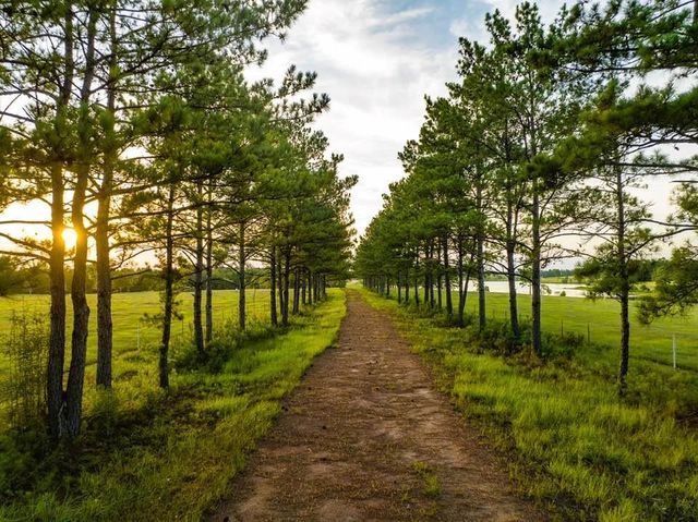 LOT 1 Lakeland Ranch Drive, Hillister, TX 77624
