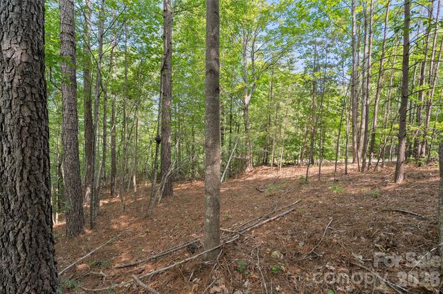 Lot 24 Monteith Place, Mill Spring, NC 28756