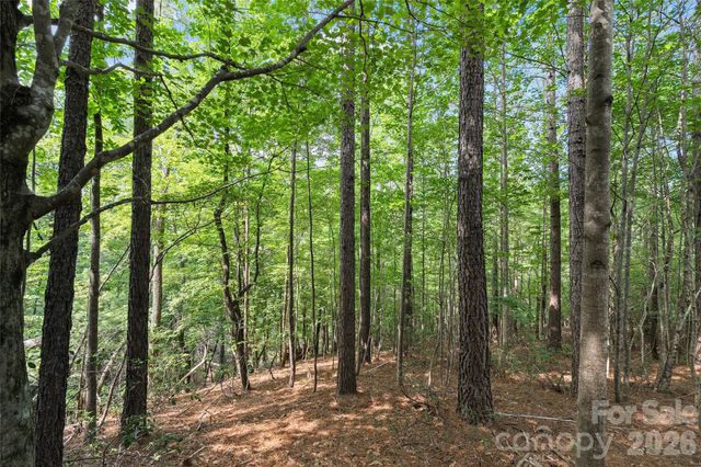 Lot 24 Monteith Place, Mill Spring, NC 28756