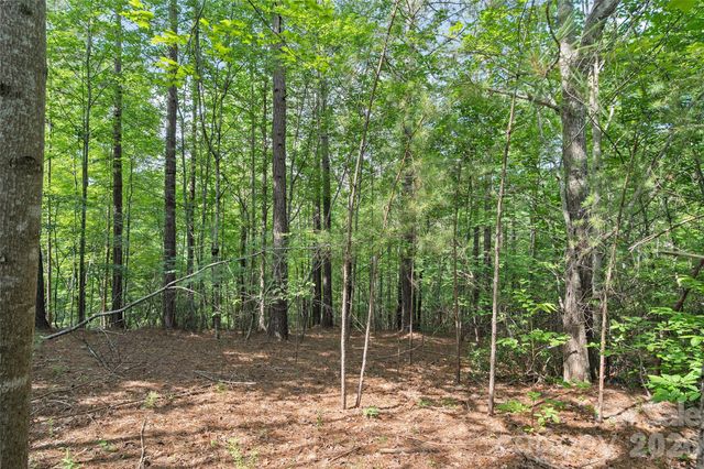 Lot 24 Monteith Place, Mill Spring, NC 28756
