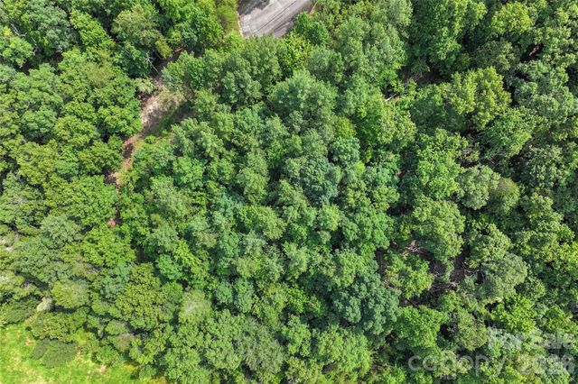 Lot 24 Monteith Place, Mill Spring, NC 28756