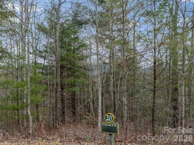 400 Pine Cone Trail 20, Marshall, NC 28753