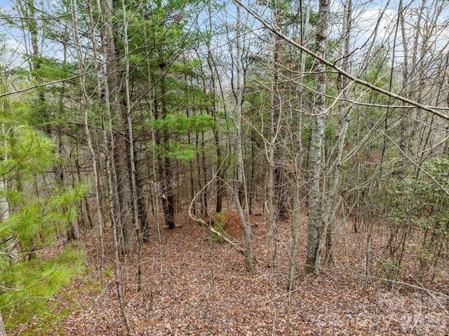 400 Pine Cone Trail 20, Marshall, NC 28753