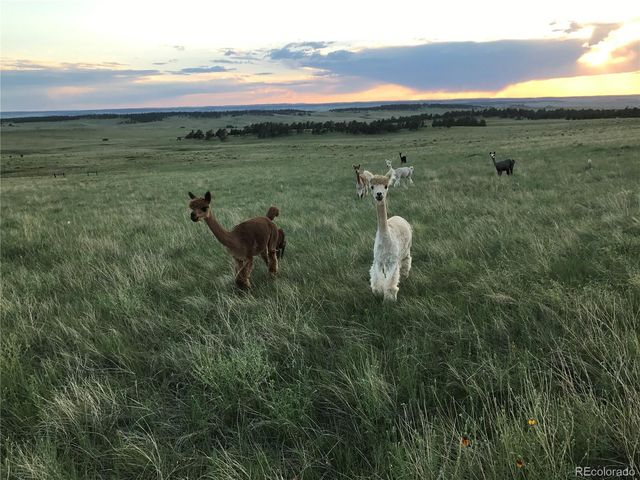 31885 Ridge Road, Ramah, CO 80832