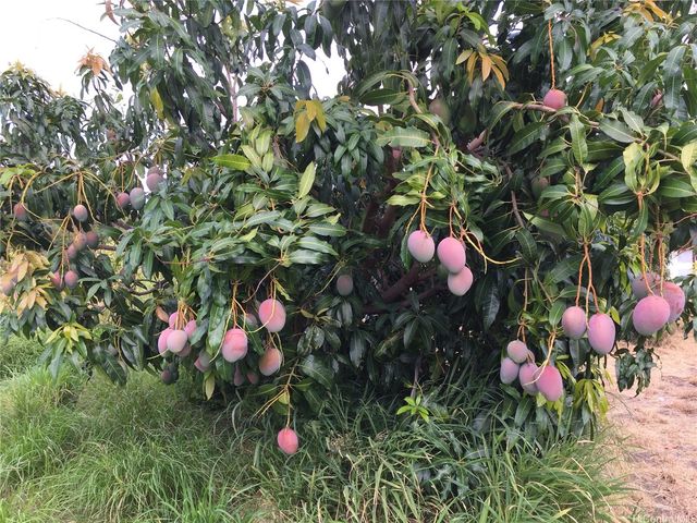 85-775A Waianae Valley Road, Waianae, HI 96792