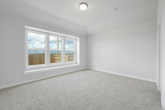 1591 Estelea Grove, New Braunfels, TX 78130