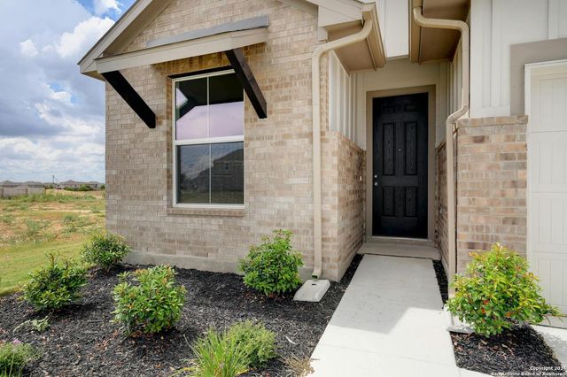 1591 Estelea Grove, New Braunfels, TX 78130