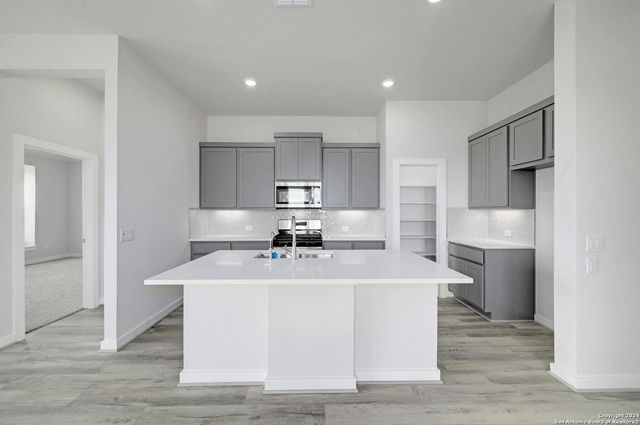 1591 Estelea Grove, New Braunfels, TX 78130