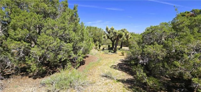 0 Sunnyslope, Pinon Hills, CA 92372