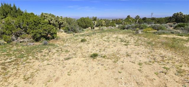 0 Sunnyslope, Pinon Hills, CA 92372