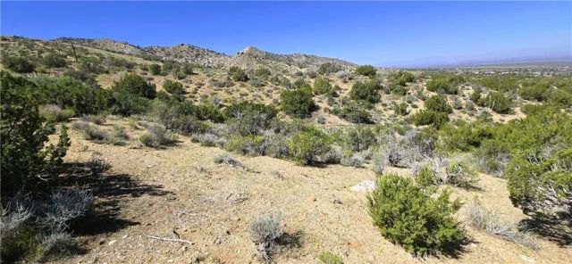 0 Sunnyslope, Pinon Hills, CA 92372