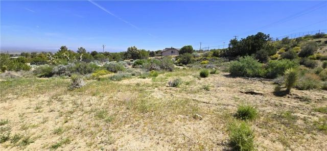 0 Sunnyslope, Pinon Hills, CA 92372