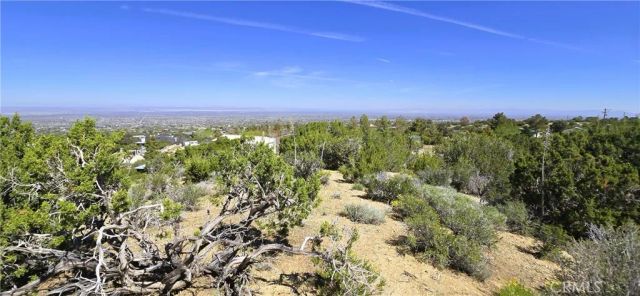 0 Sunnyslope, Pinon Hills, CA 92372
